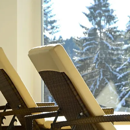 Hotel Belchenhotel Jaegerstueble 4*