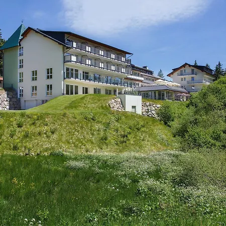 Belchenhotel Jaegerstueble 4*