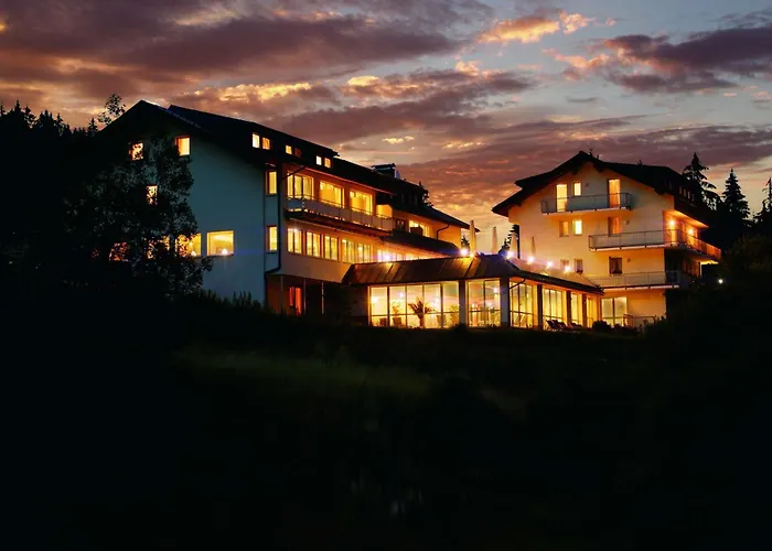 Belchenhotel Jaegerstueble Hotell