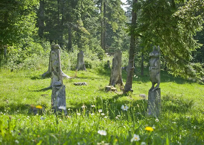 Hotell Belchenhotel Jaegerstueble 4*