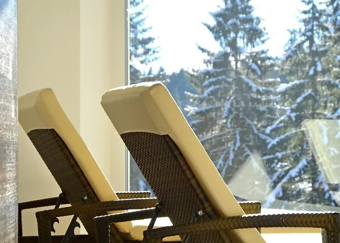 Hotell Belchenhotel Jaegerstueble 4*