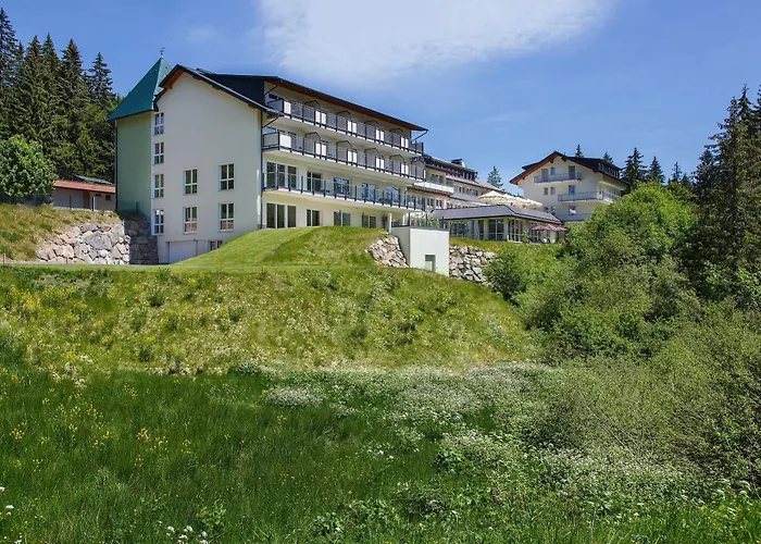 Belchenhotel Jaegerstueble 4*